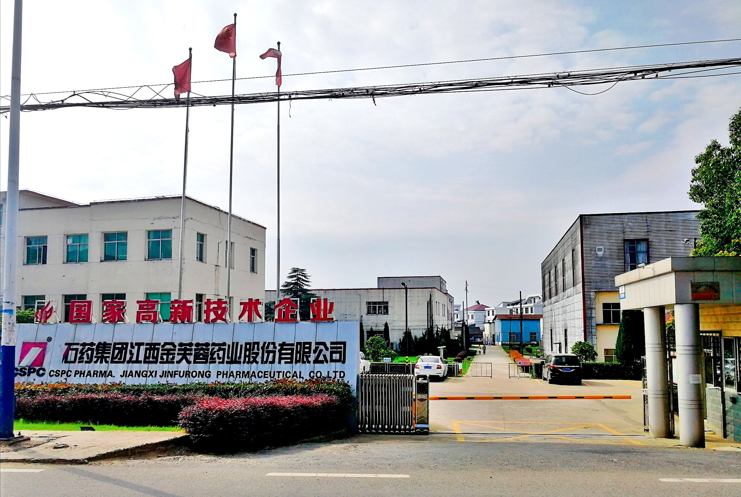 豪门国际