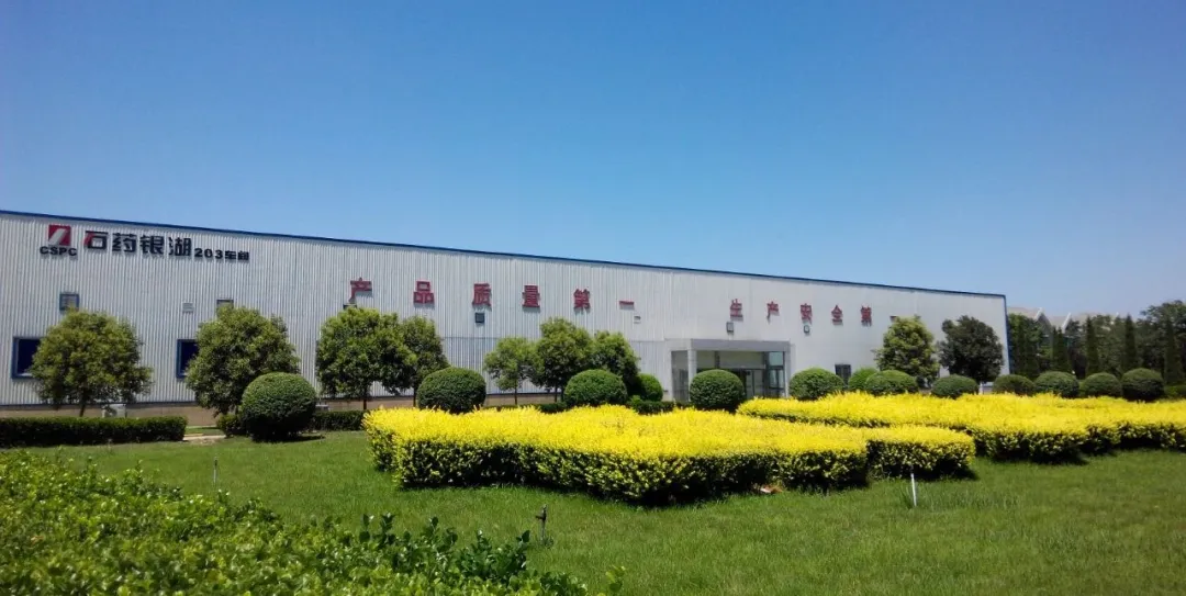 豪门国际
