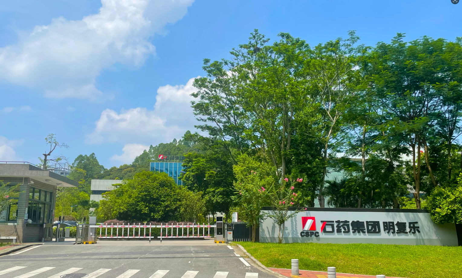 豪门国际