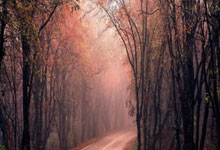 豪门国际官网:勇士鹈鹕最后时刻:希尔德三分扩大优势 勇士连续进攻篮板锁定胜局.