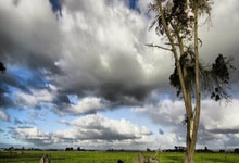 意大利杯:同城之战 米兰平国米.