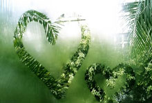 巴西耻辱输球,冲突火爆,维尼修斯伸2根手指嘲.