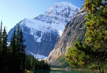 亚冬会首金 韩国获得亚冬会短道速滑混合团体2000米接力冠军央视新闻客户端.