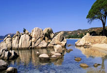 1-1,巴西名宿里瓦尔多之子连场破门:助中甲队2轮不败+升至第6.